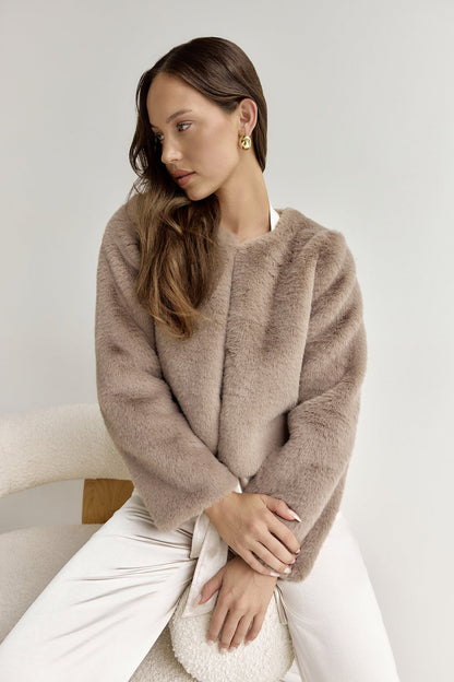 Day By Day Faux Fur Cropped Jacket Brown