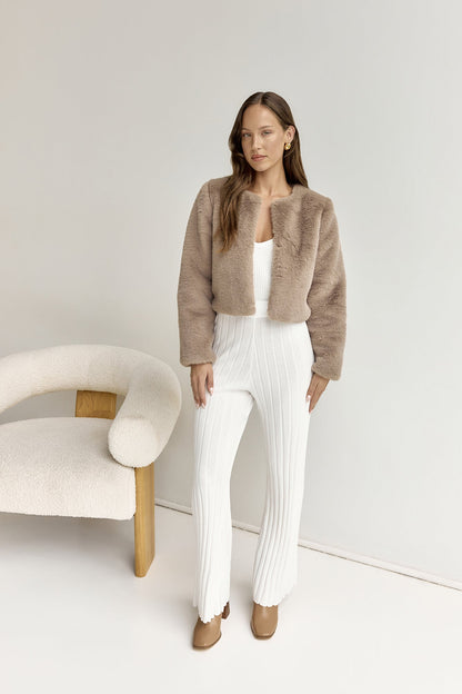 Day By Day Faux Fur Cropped Jacket Brown