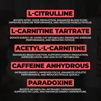 Ingredients Explained
